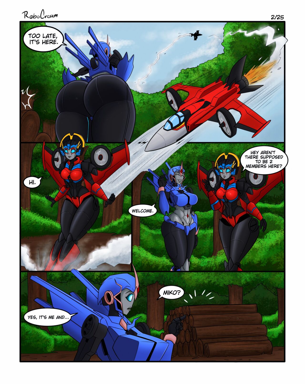 Page 3